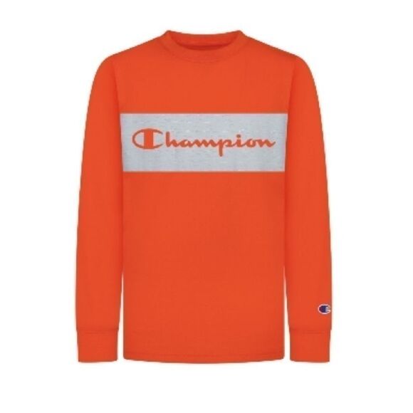 Bundle CARTER'S and champion 
Toddler Boys Dinosaur Fleece Pullover 2T - Picture 4 of 5